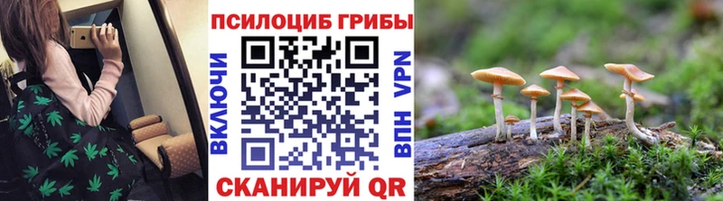 купить наркотики сайты  ссылка на мегу как зайти  Псилоцибиновые грибы прущие грибы  Салават 