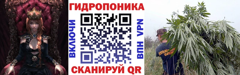 Конопля сатива  купить наркотик  Салават 
